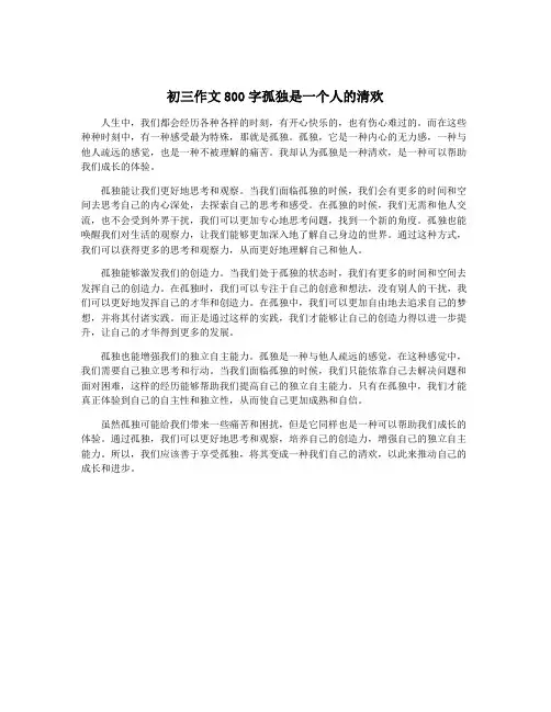初三作文800字孤独是一个人的清欢