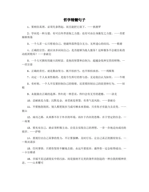哲学精髓句子
