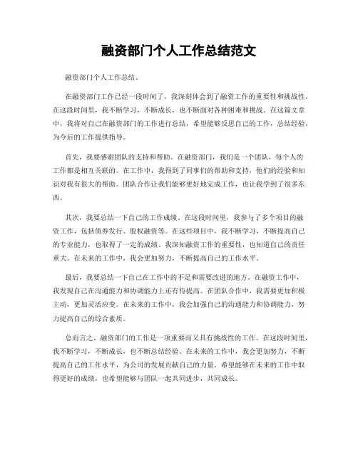 融资部门个人工作总结范文
