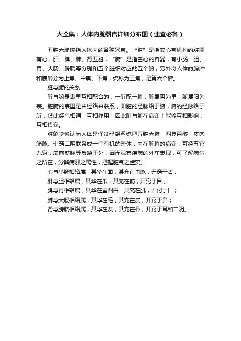 大全集：人体内脏器官详细分布图（速查必备）