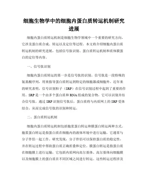 细胞生物学中的细胞内蛋白质转运机制研究进展