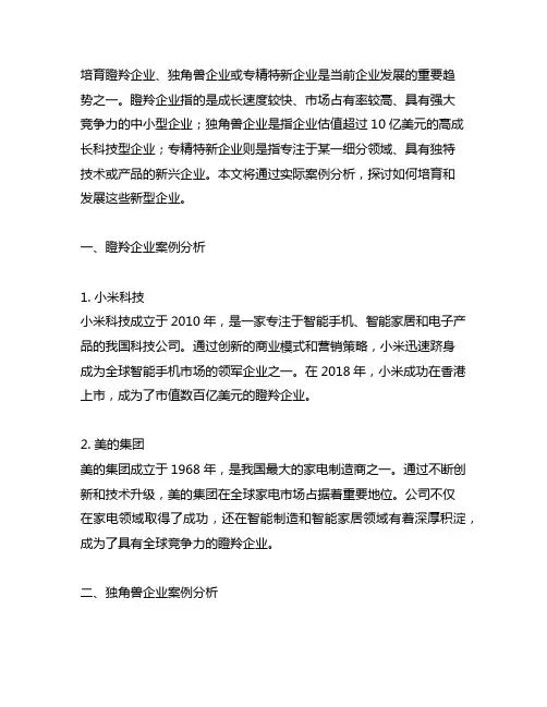 培育瞪羚企业,独角兽企业或专精特新企业发展的案例