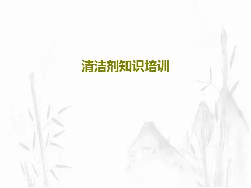 清洁剂知识培训24页PPT