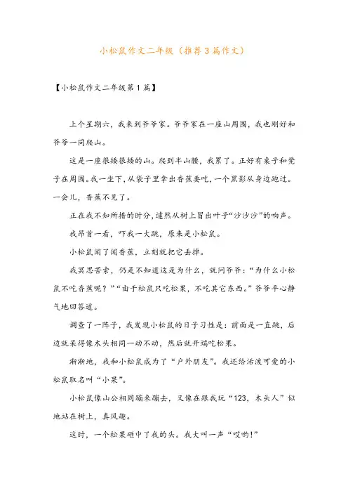 小松鼠作文二年级(推荐3篇作文)