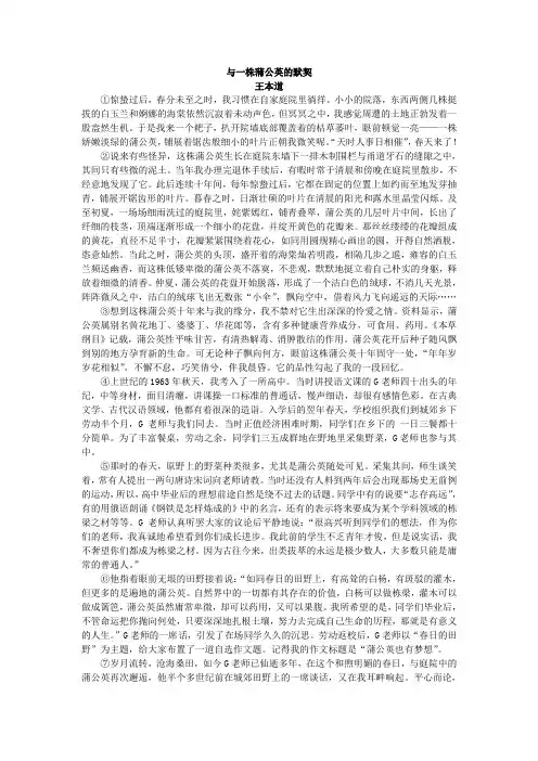 《与一株蒲公英的默契》包括加点词 修辞 人物形象题型