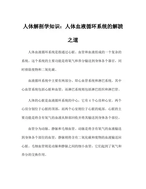 人体解剖学知识：人体血液循环系统的解読之道