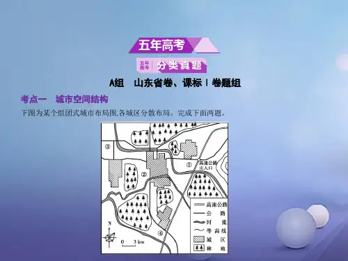 2020版高考(山东专用)地理一轮课件：专题8 城市与城市化