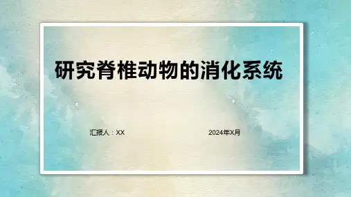 研究脊椎动物的消化系统