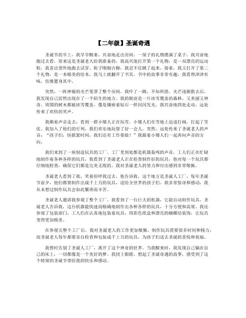 【二年级】圣诞奇遇