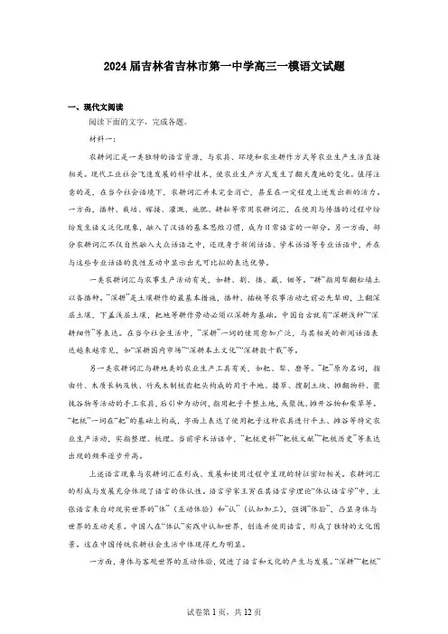 2024届吉林省吉林市第一中学高三一模语文试题