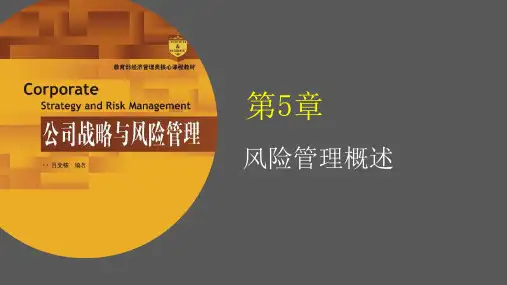 公司战略与风险管理(第2版)第5章——风险管理概述