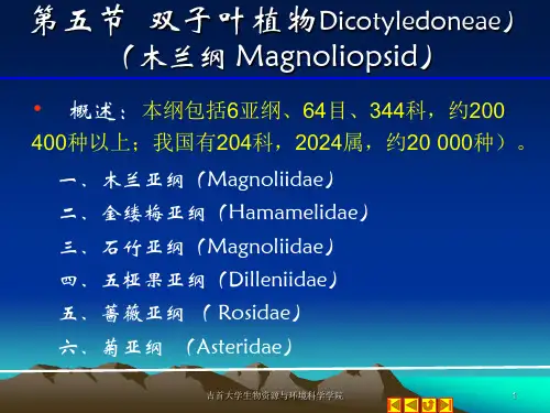 9-10 第八章  被子植物1——木兰亚纲