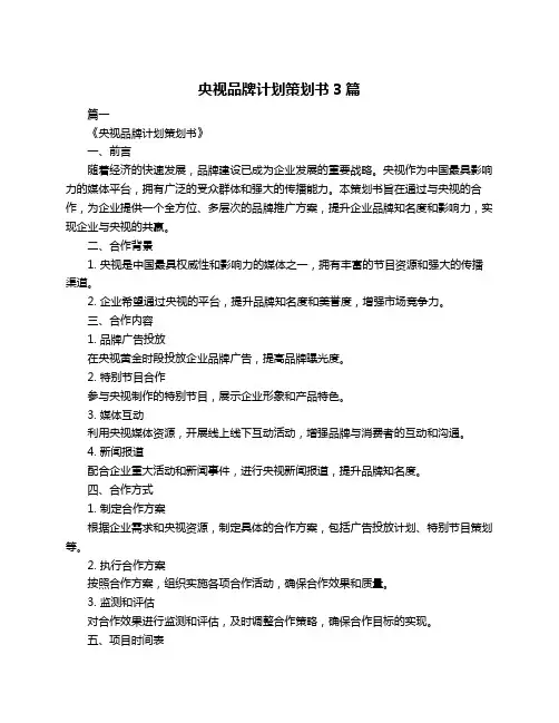 央视品牌计划策划书3篇