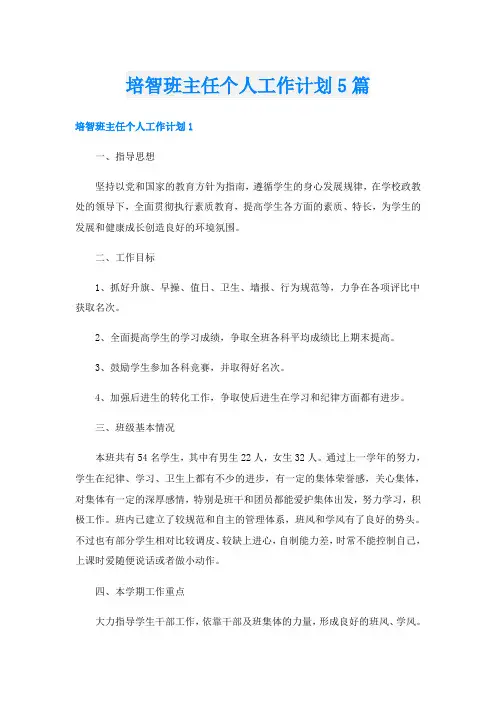 培智班主任个人工作计划5篇