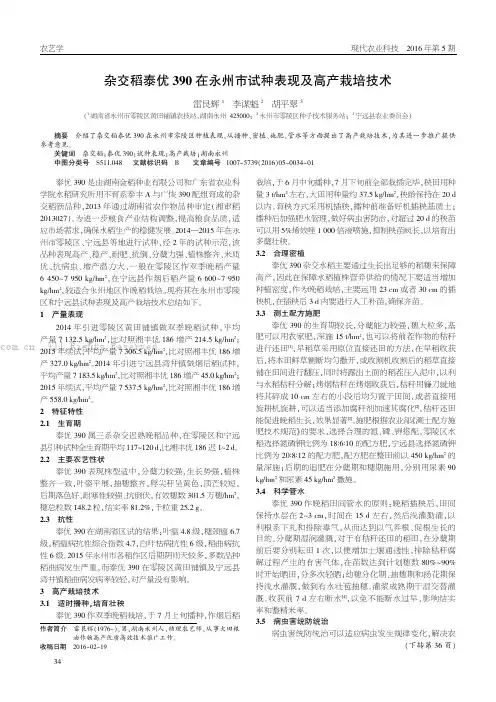 杂交稻泰优390在永州市试种表现及高产栽培技术