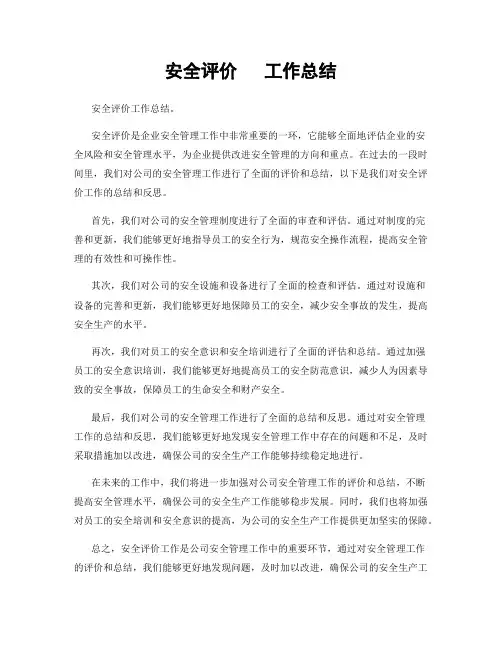 安全评价   工作总结