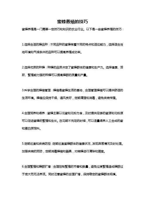 蜜蜂养殖的技巧