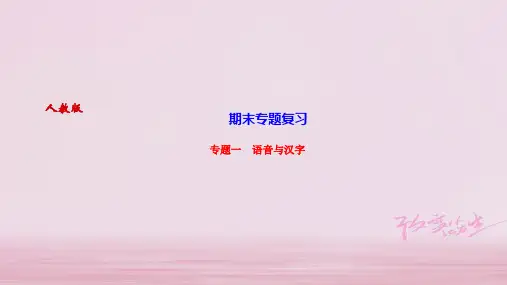 2019年秋九年级苏教版语文上册课件：专题一 语音与汉字 (共12张PPT)