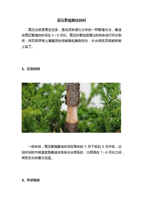 高压繁殖最佳时间
