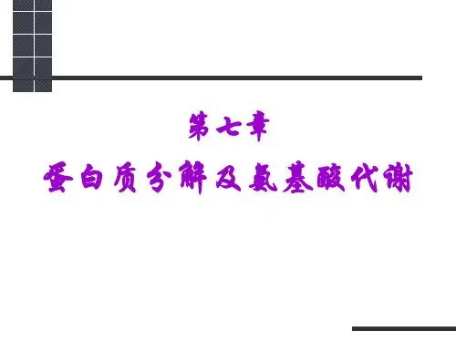 蛋白质分解及氨基酸代谢