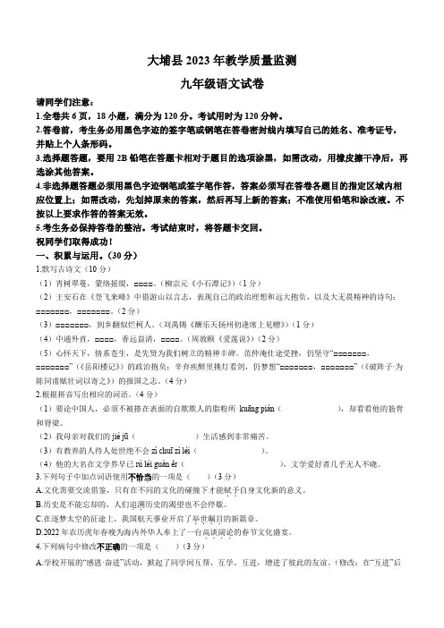 2023年广东省梅州市大埔县中考一模语文试题(含答案)