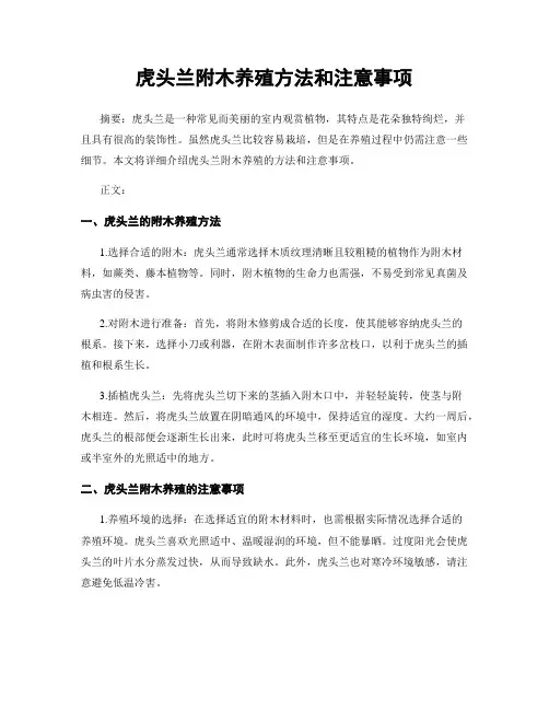 虎头兰附木养殖方法和注意事项