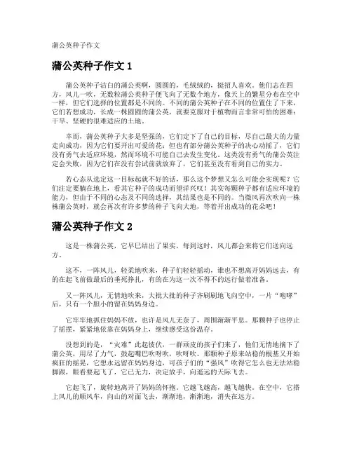 蒲公英种子作文