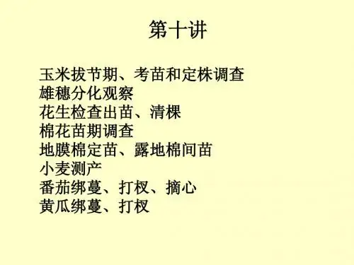 田间技术实验第十讲