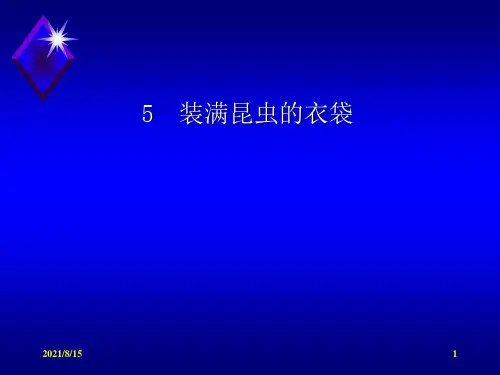 (赛课课件)五年级上册语文《装满昆虫的衣袋》(共32张PPT)