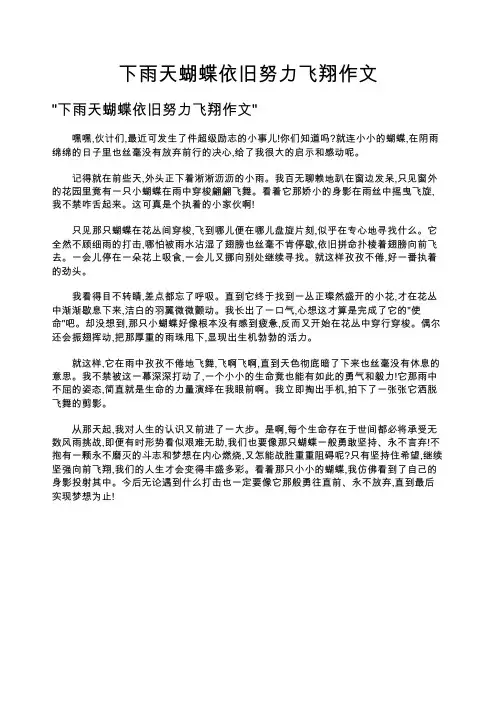 下雨天蝴蝶依旧努力飞翔作文