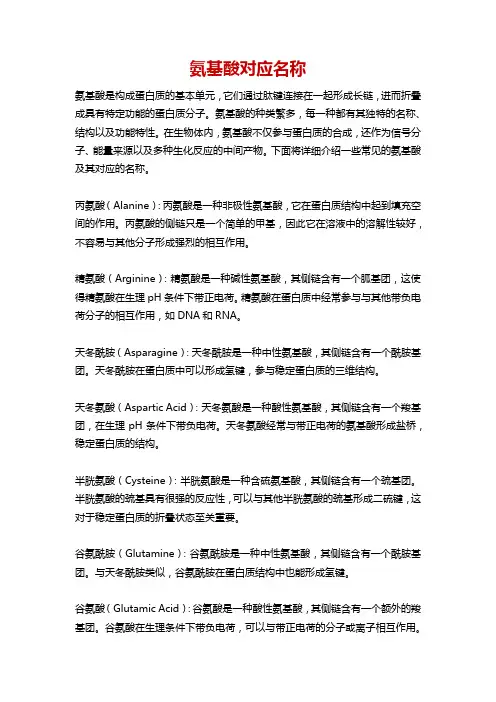 氨基酸对应名称