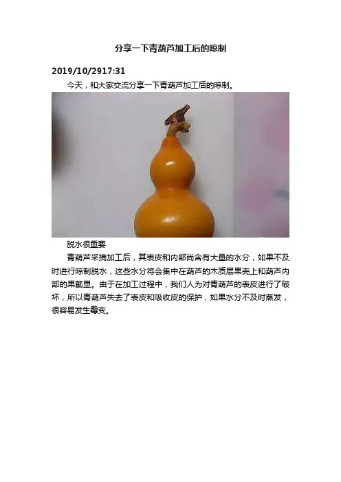 分享一下青葫芦加工后的晾制