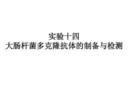实验十四大肠杆菌多克隆抗体的制备与检测