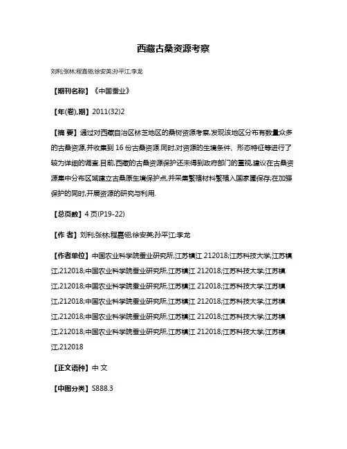 西藏古桑资源考察