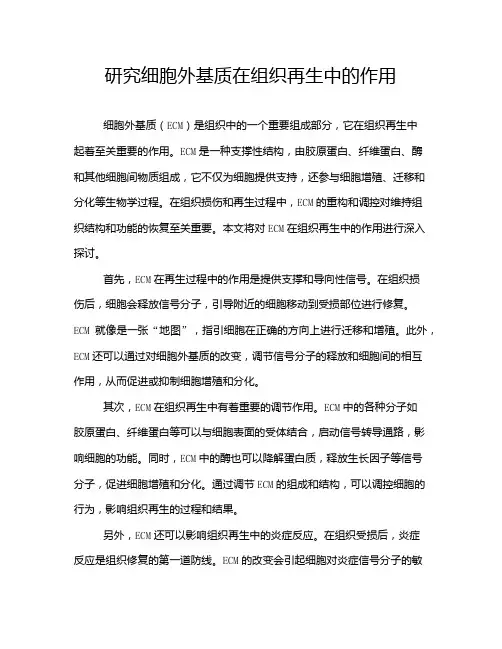 研究细胞外基质在组织再生中的作用