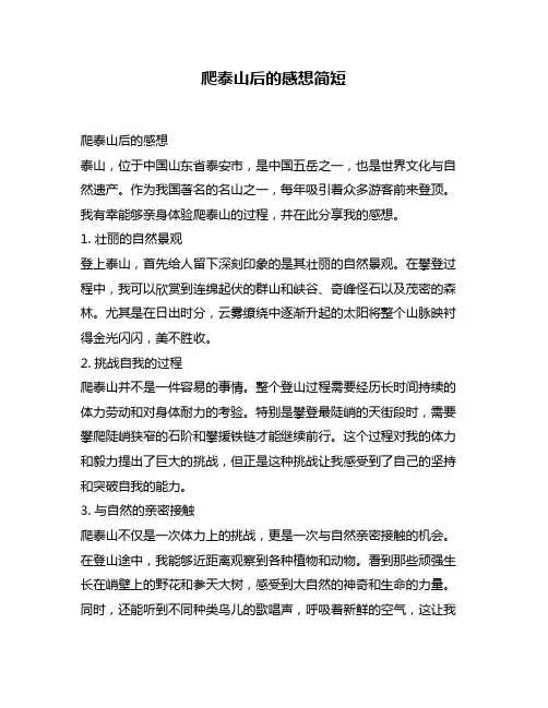 爬泰山后的感想简短