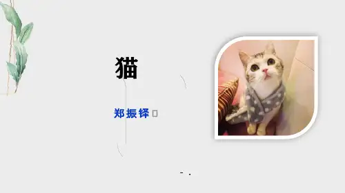 《猫》PPT教学课件