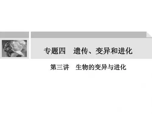 变异与进化
