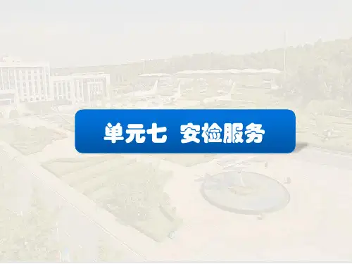《民航机场地面服务》CH7安检服务