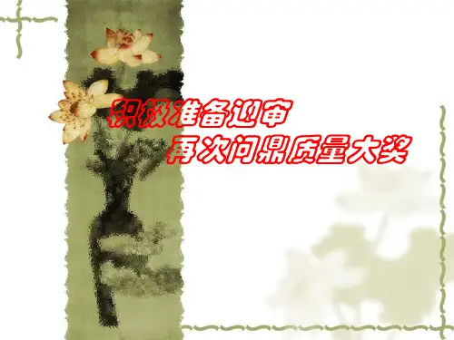 质量奖现场迎审指导课件PPT