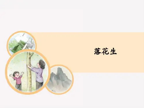 统编版语文五年级上册《落花生》课件(17张PPT)