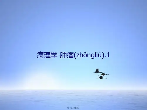病理学肿瘤