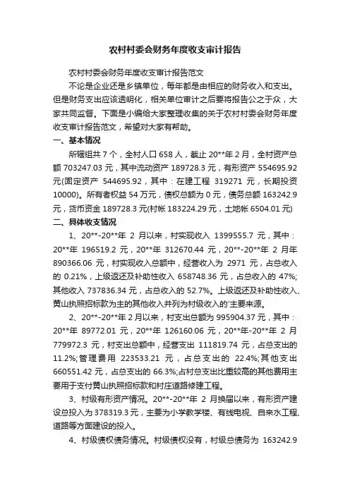 农村村委会财务年度收支审计报告范文