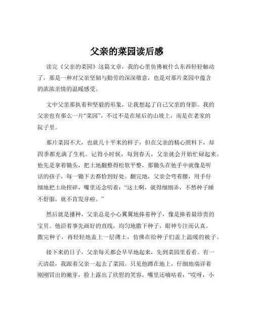 父亲的菜园读后感