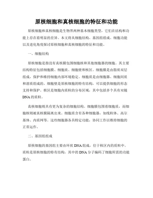 原核细胞和真核细胞的特征和功能