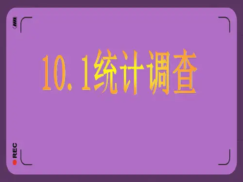 统计调查ppt课件