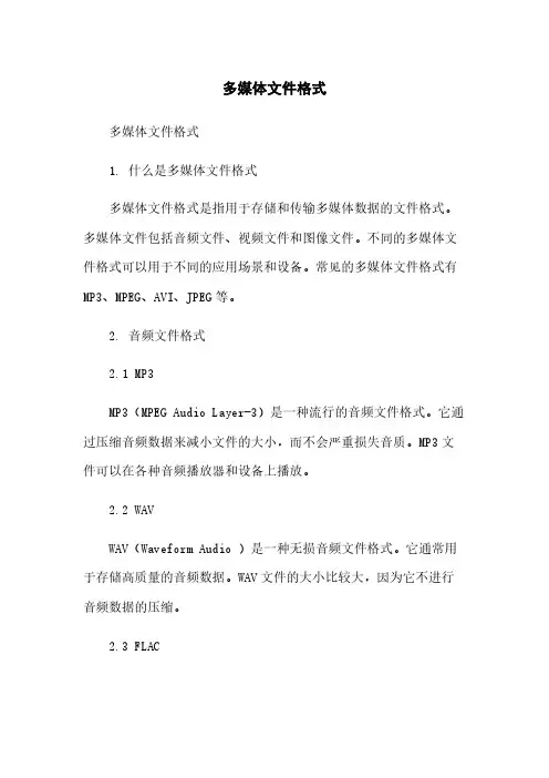 多媒体文件格式范本