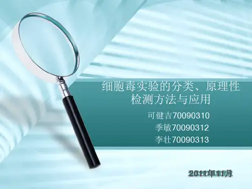 细胞毒实验