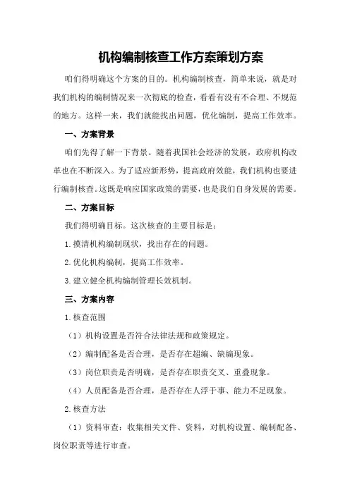 机构编制核查工作方案策划方案
