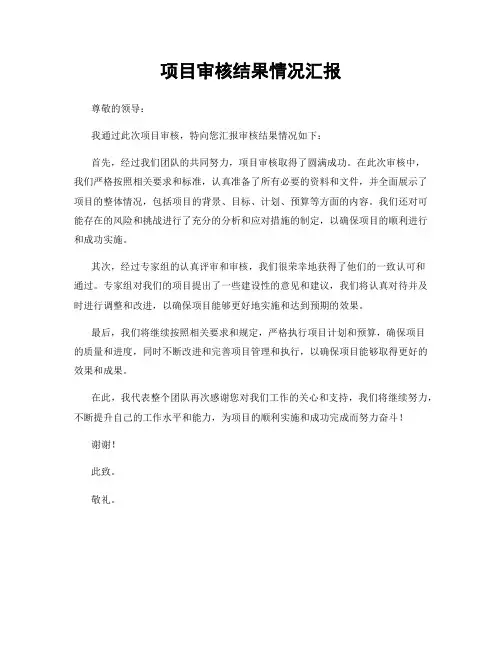 项目审核结果情况汇报